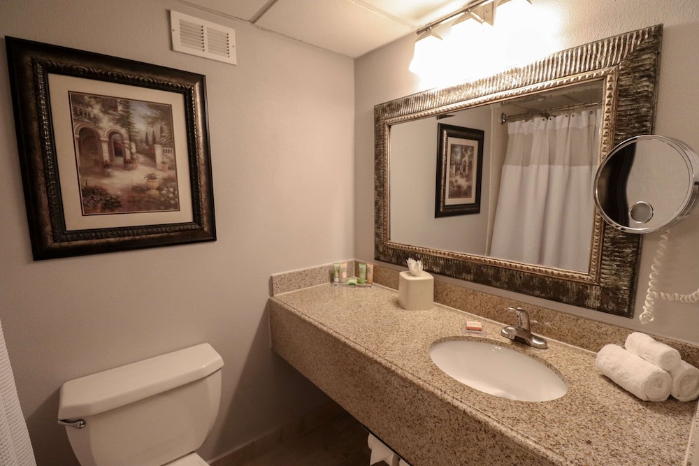 Wyndham Houston near NRG Park/Medical Center 13/56