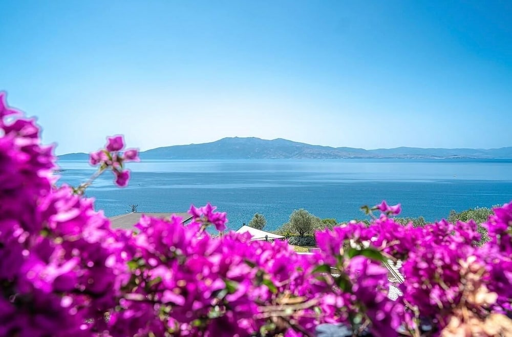 Assos Dionysos Hotel - Adults Only 39/49