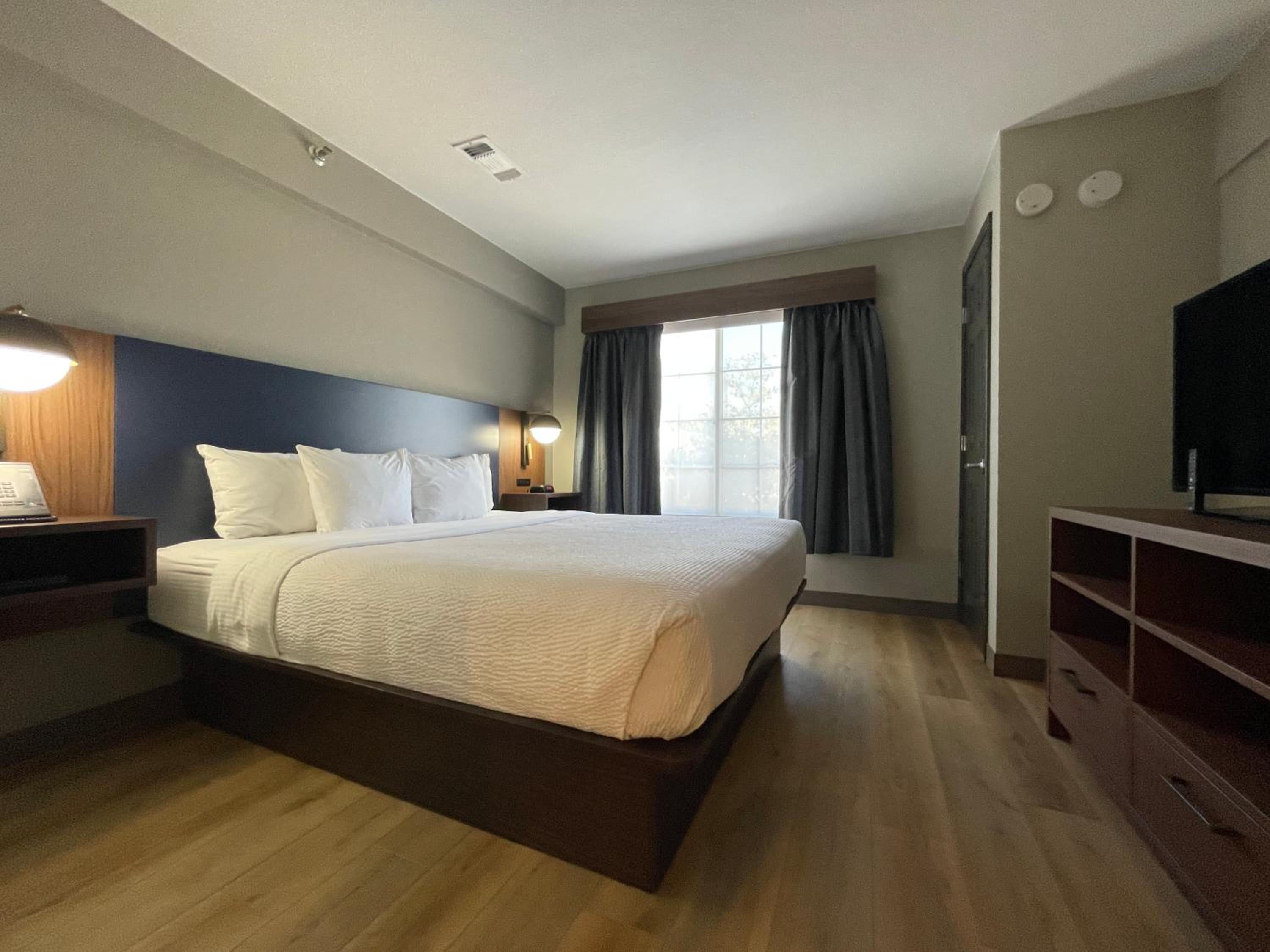 Suite, King Bed, Sofa