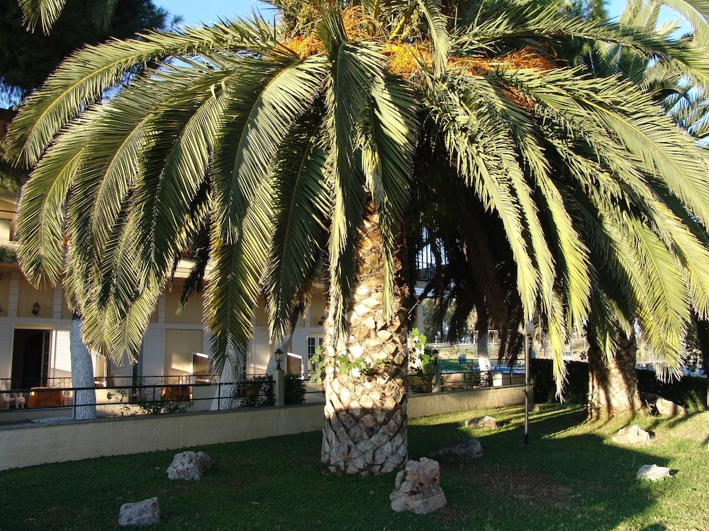 IGNATIA HOTEL 63/66