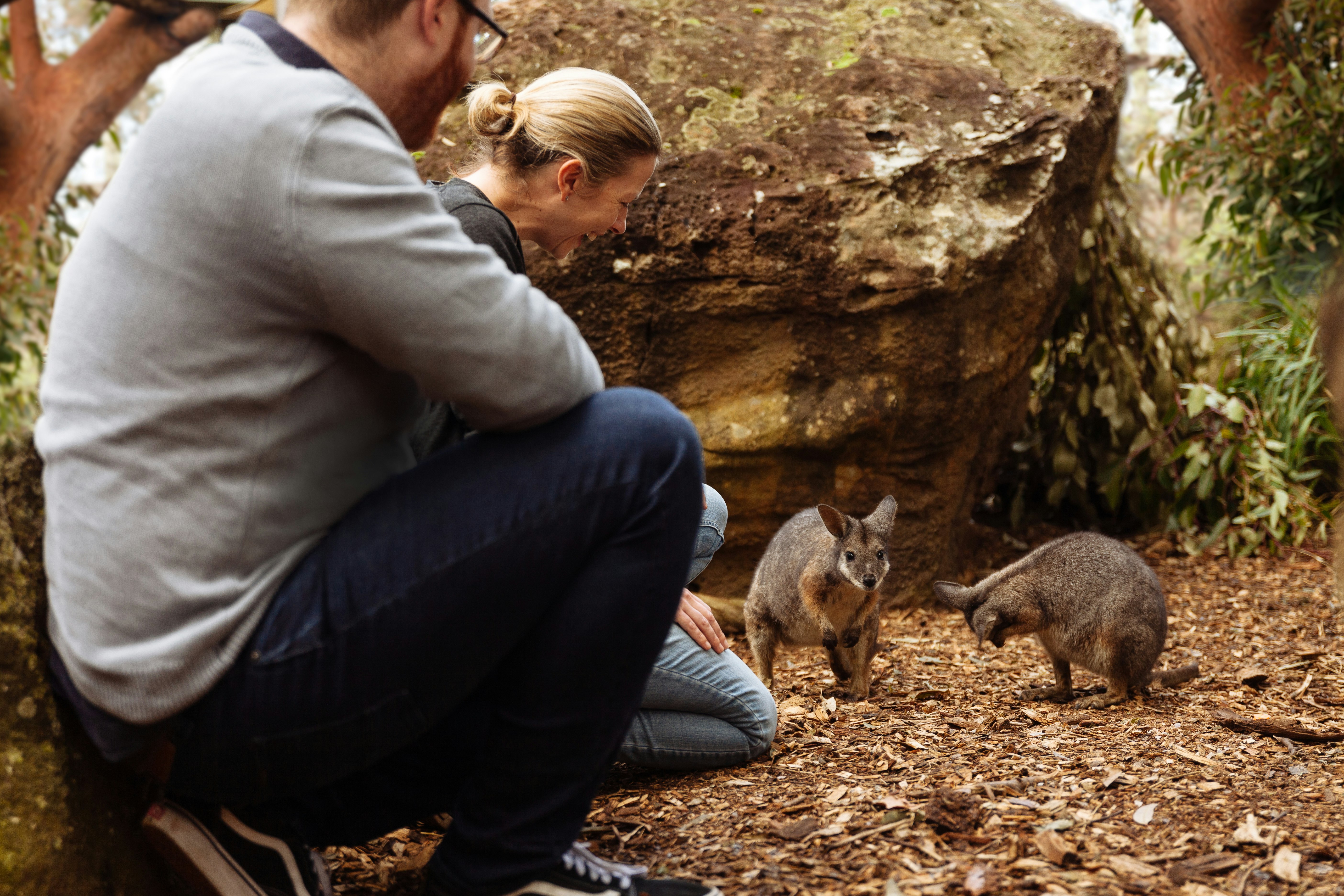 Wildlife Retreat at Taronga 15/18