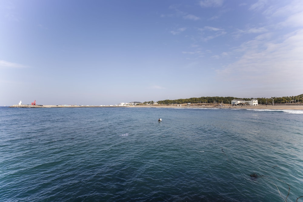 Jeju Ocean Family Hotel 62/75