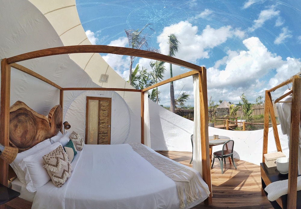 Green Land Bubble Glamping 16/60