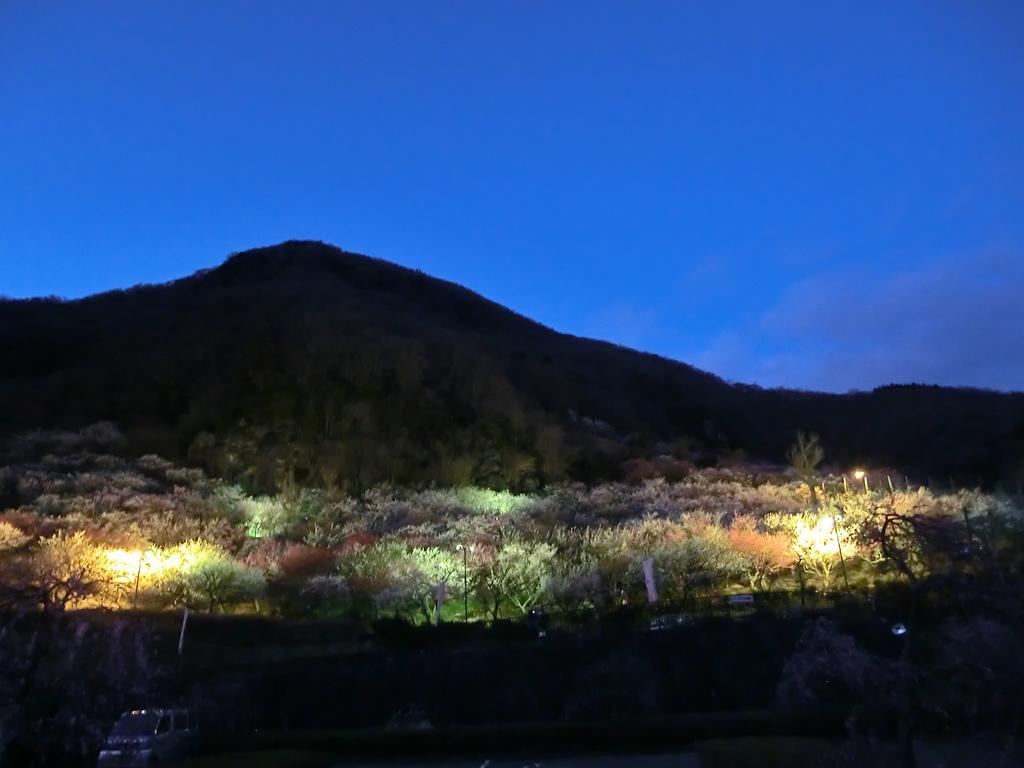 Kawasegien Isuzu Hotel 20/21