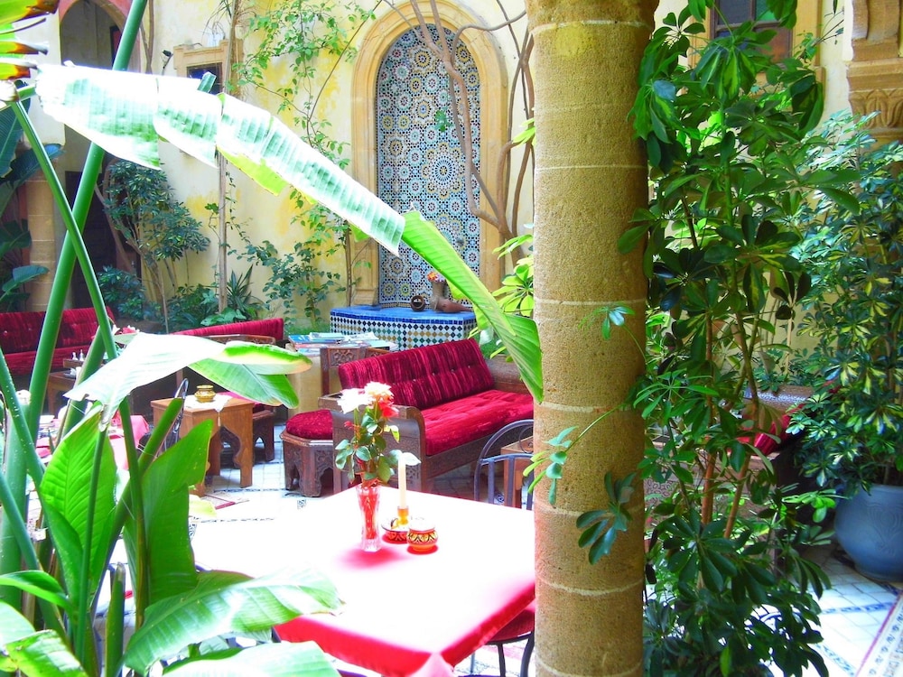 Riad Marlinea 43/50