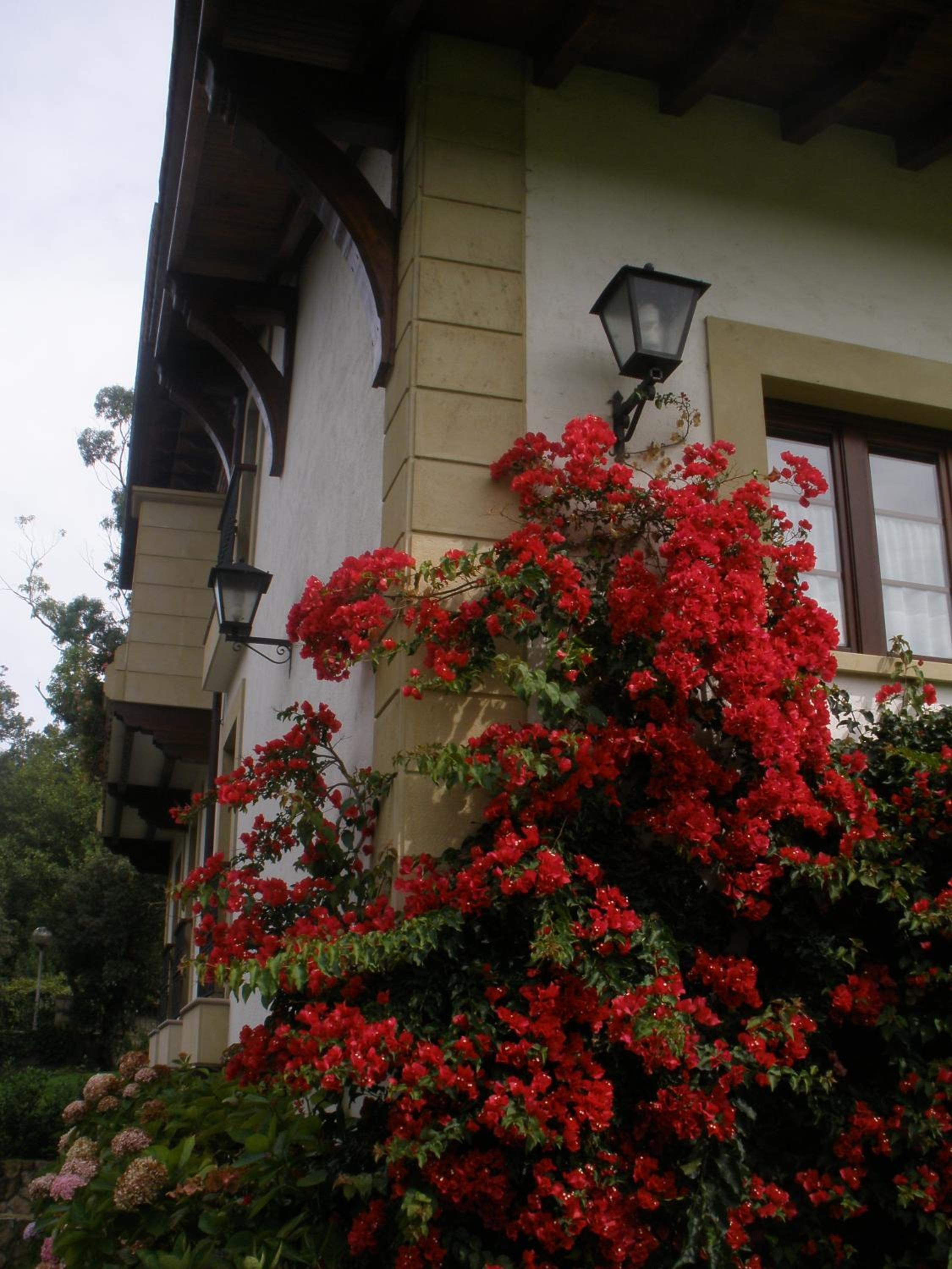 Posada La Robleda 5/61