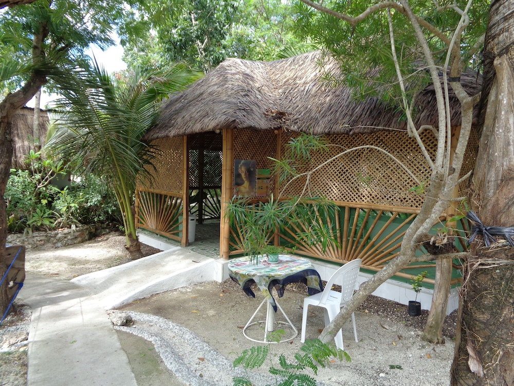 Sea Turtle House 46/50