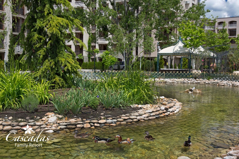 Cascadas Family Resort 80/84