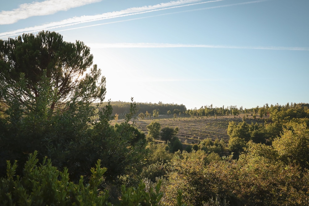 I LOVE DAO - CASAS DA FRAGA 50/62