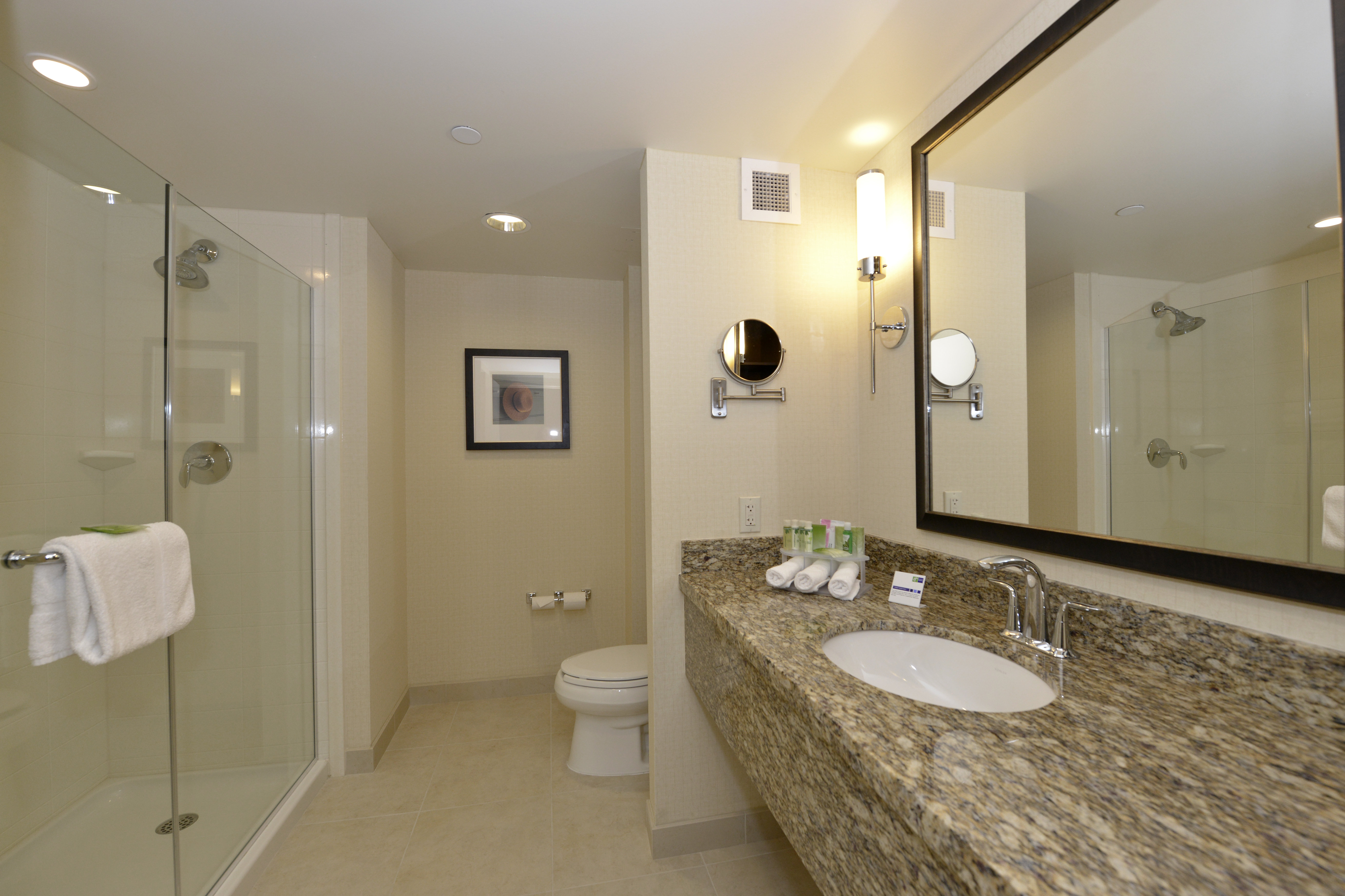 Holiday Inn Express Hotel Suites Waterloo St Jacobs 77/78