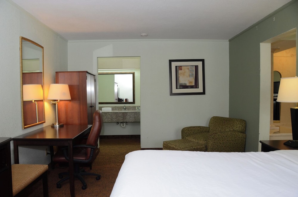Suite, King Bed, Accessible