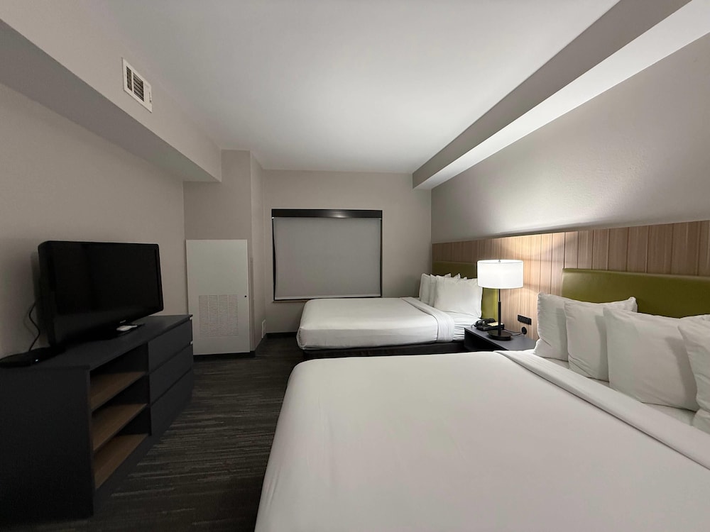 SUITE, MULTIPLE BEDS
