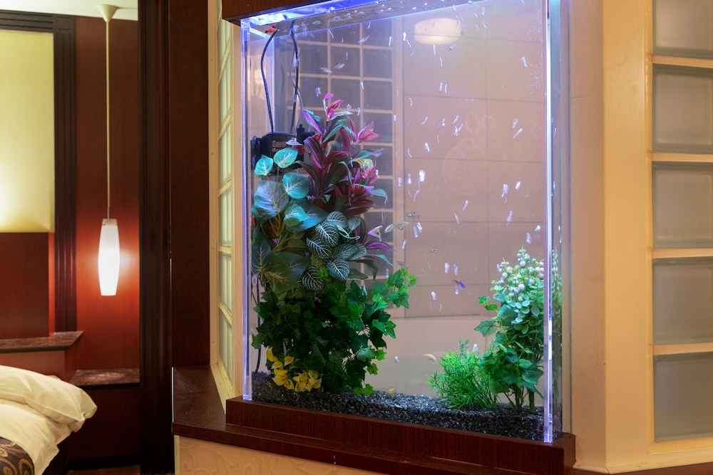 Hotel Spa Lotus Adults Only 33/44