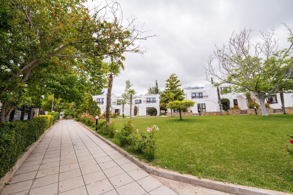 The Olive Tree Hotel 39/50