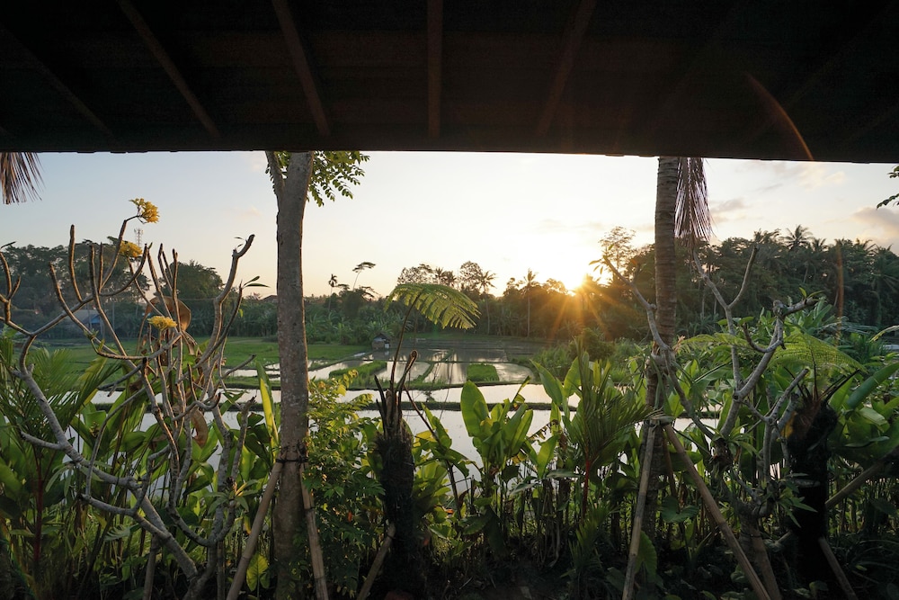 Ubud Art Resort (ex Uma D Mas Villa) 41/48