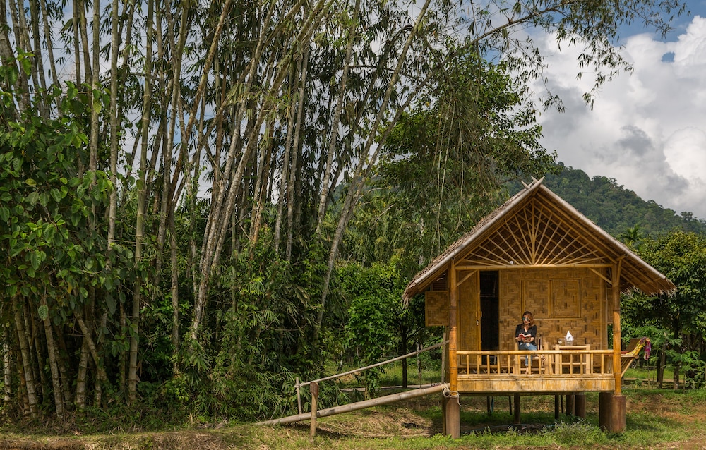 Our Jungle Camp - Eco Resort 12/75