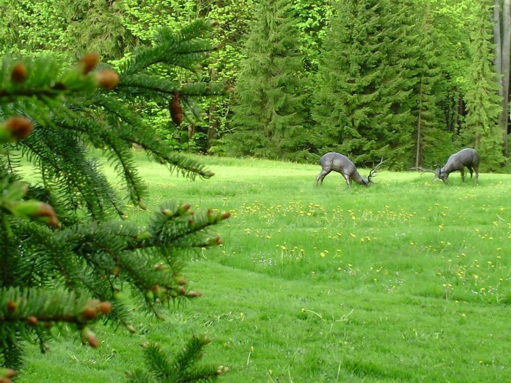 Berg- und Jagdhotel Gabelbach 42/48