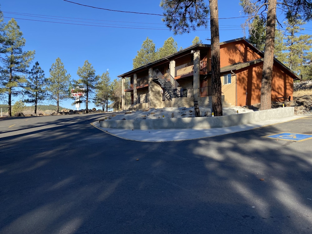 Motel In The Pines 17/41