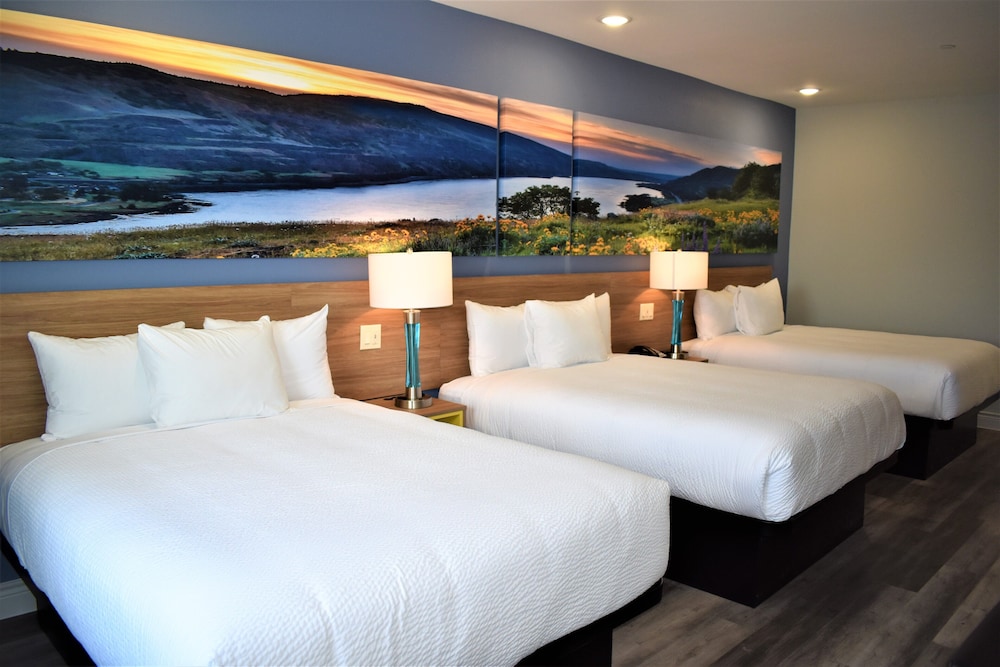 Days Inn & Suites By Wyndham Downtown/University Of Houston 15/60