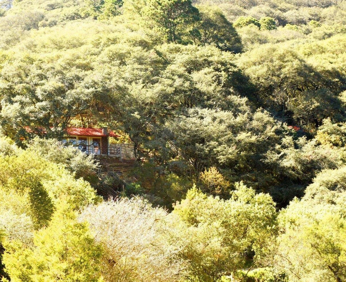 Cabaña El Encino en Real del Monte 34/38