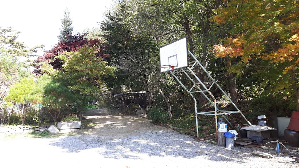 Starvill Pension 17/50