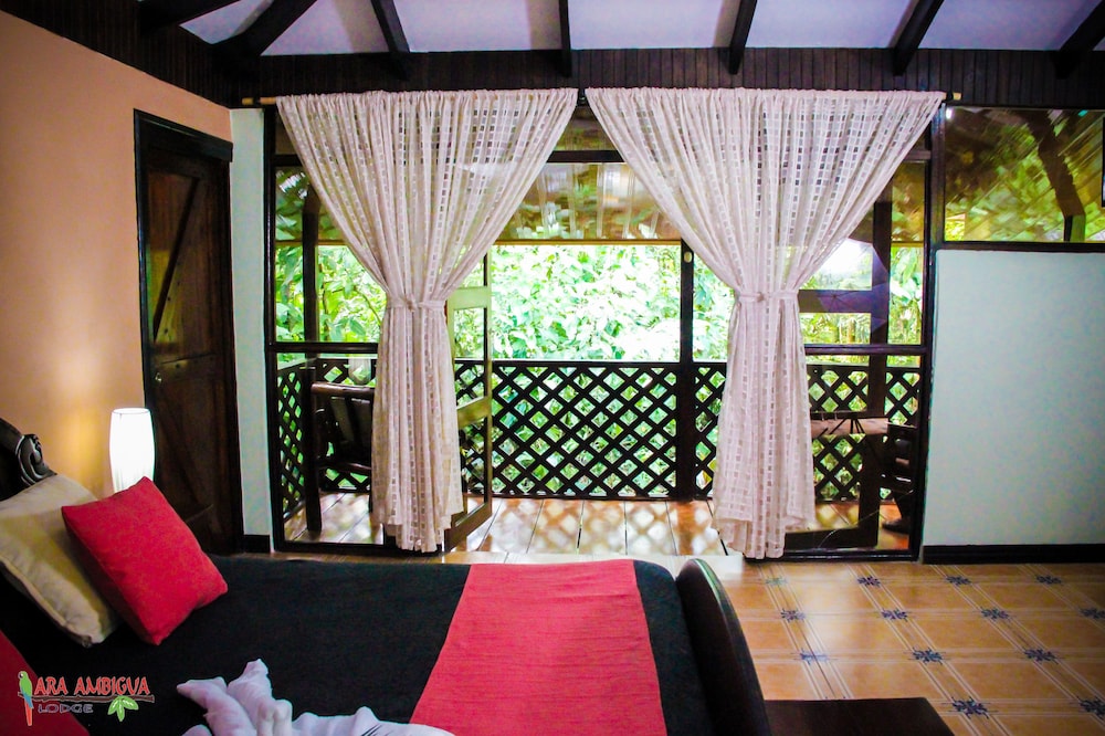 Ara Ambigua Lodge 28/50