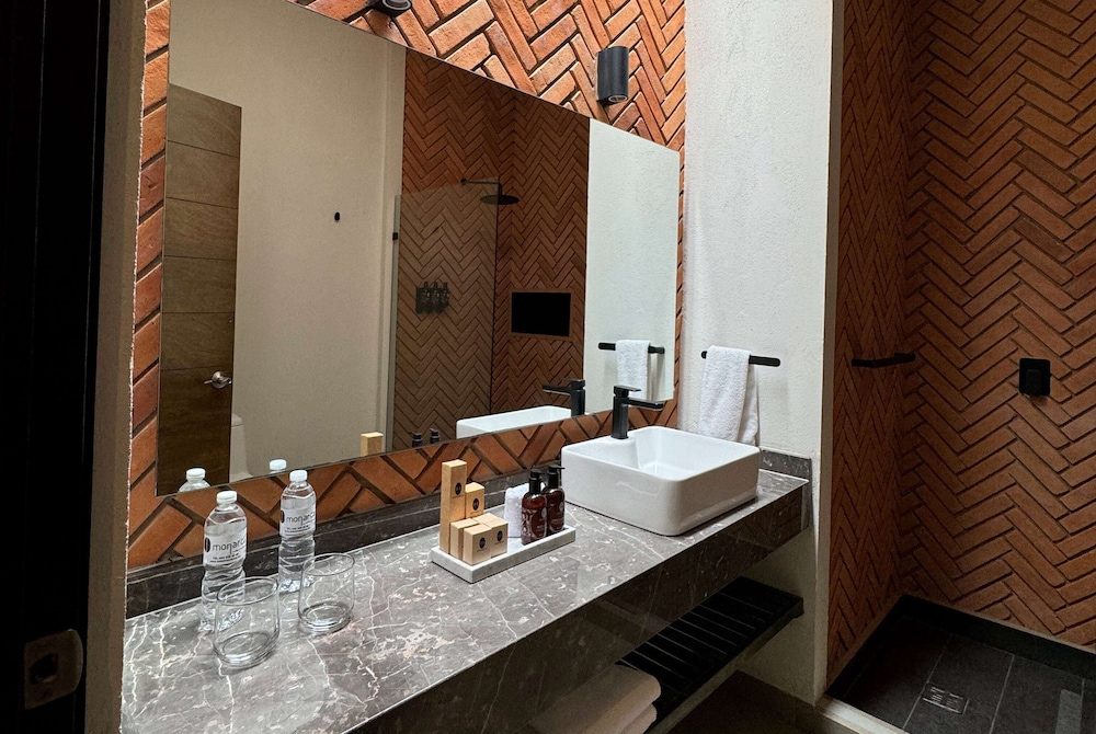 Esplendor by Wyndham San Luis Potosi Monarca 52/54