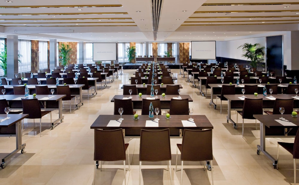 Melia Madrid Princesa Hotel 59/66
