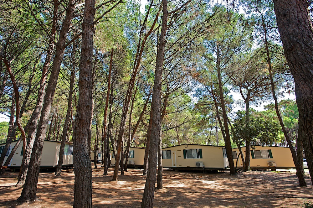 Arena Medulin Mobile Homes 38/43