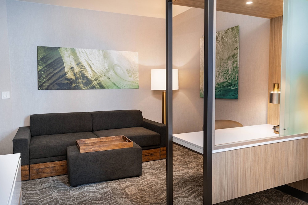SpringHill Suites by Marriott Irvine Lake Forest 21/32