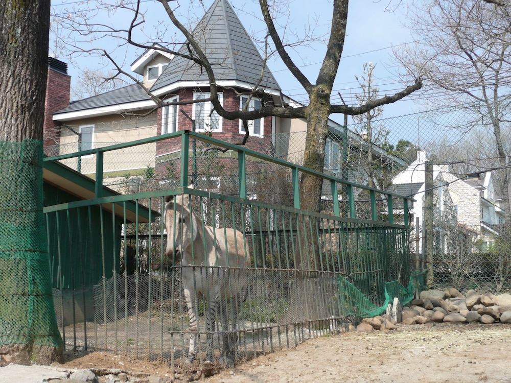 Scotch Court 2/35