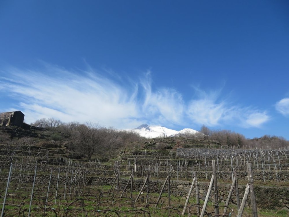 Agriturismo Le Case Del Merlo 56/59