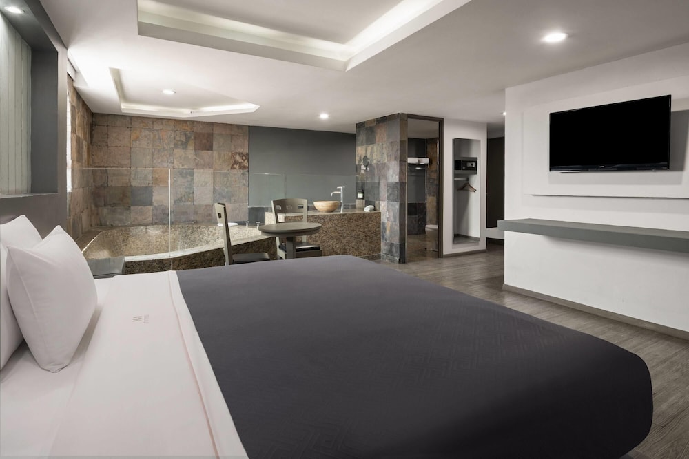 Hotel MX congreso CDMX, Trademark Collection by Wyndham 38/48