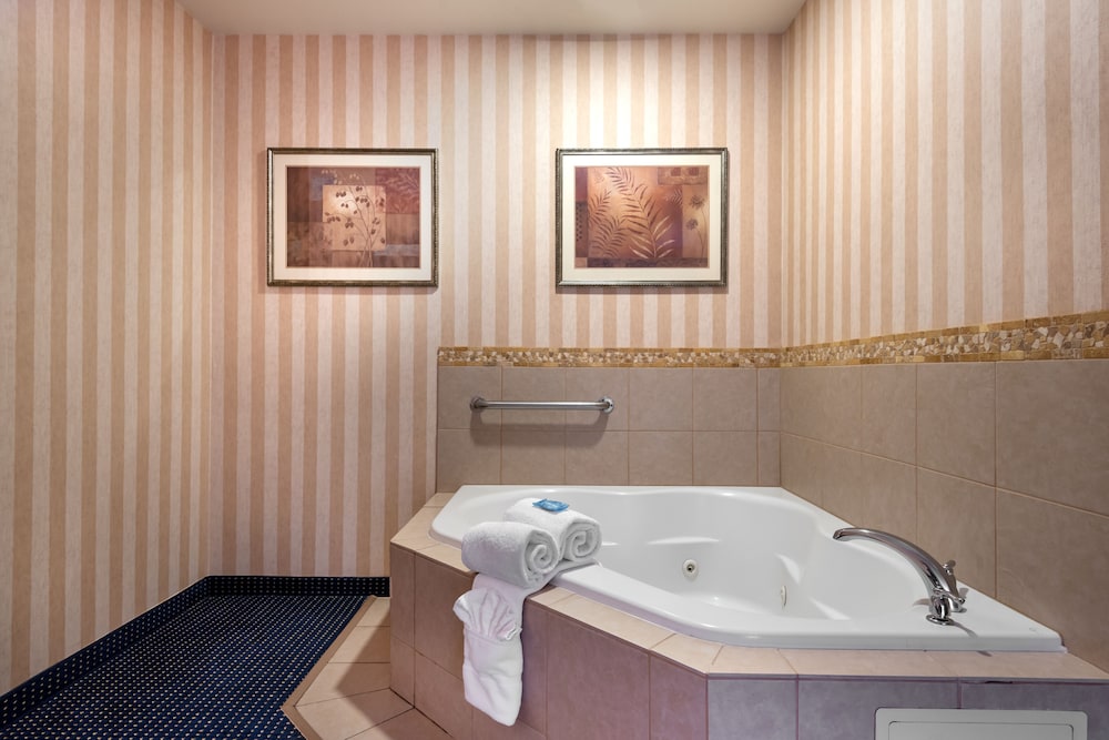 Holiday Inn Express & Suites Lathrop 26/61