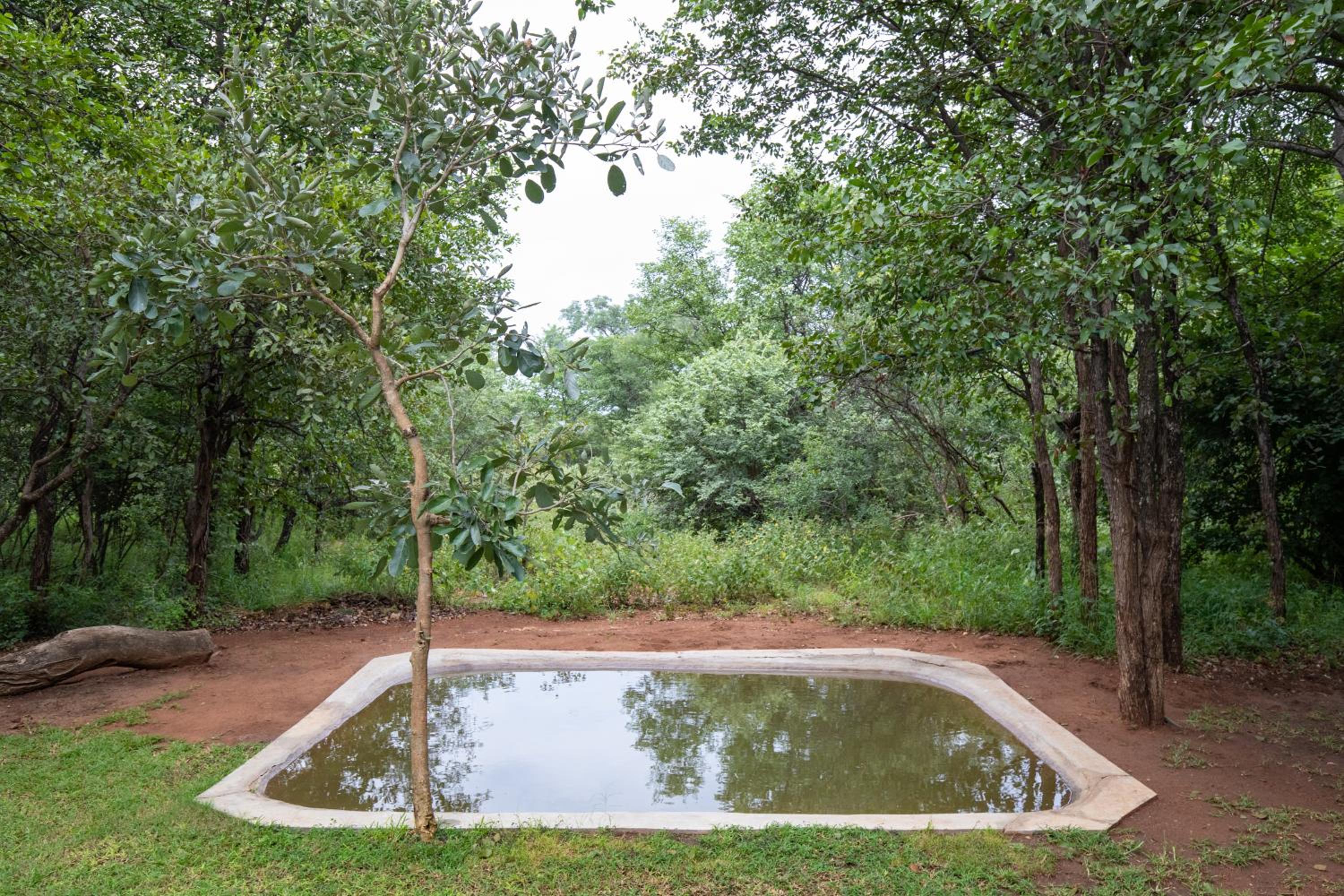 Kingly Bush Villa 28/36