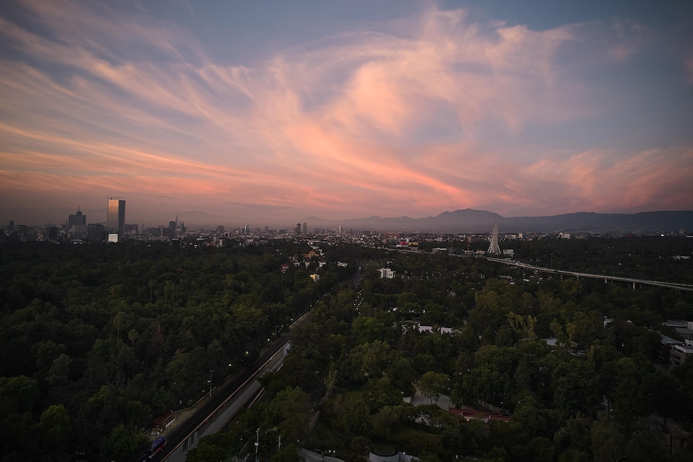 Hyatt Regency Mexico City 49/50