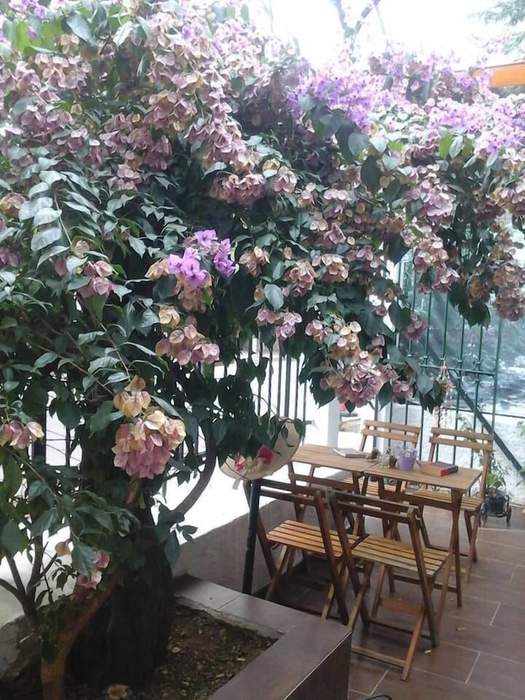 Orhan Kutbay'in Evi Turyolu Cafe Pansiyon 43/50