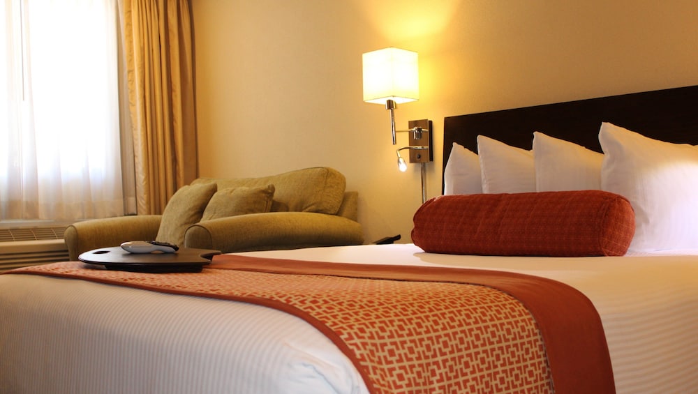 The Zen Hotel 23/58