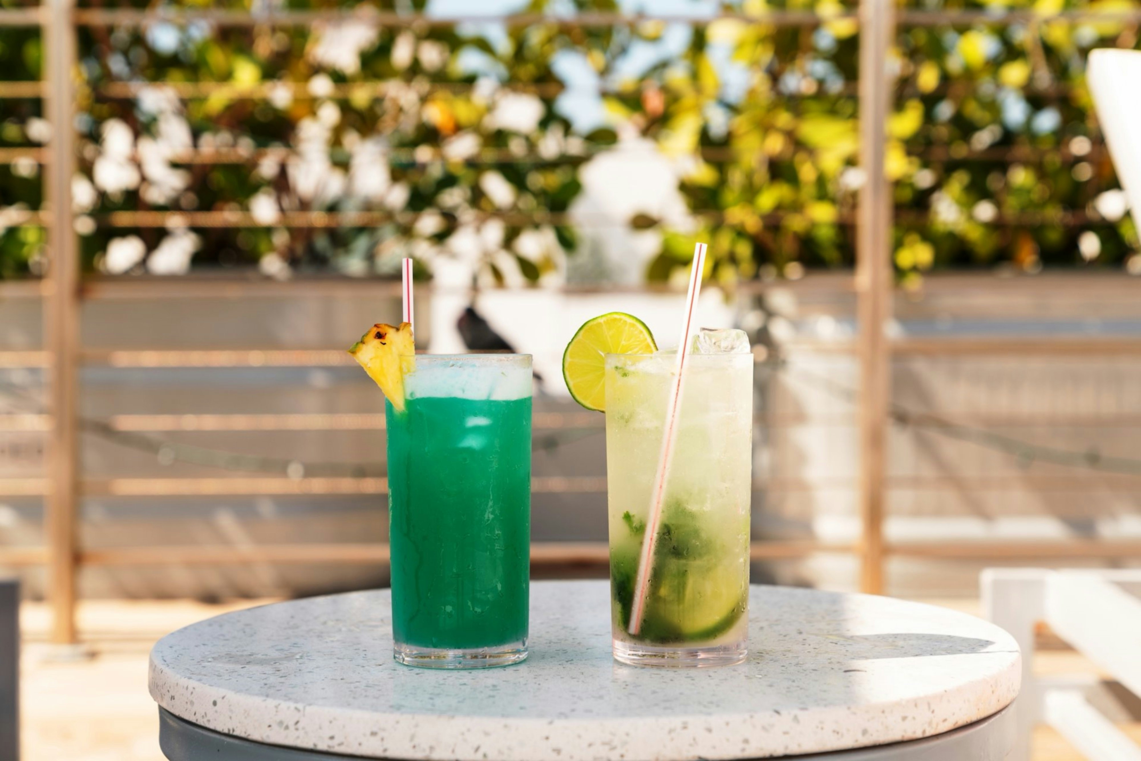 The Tony Hotel South Beach 41/80