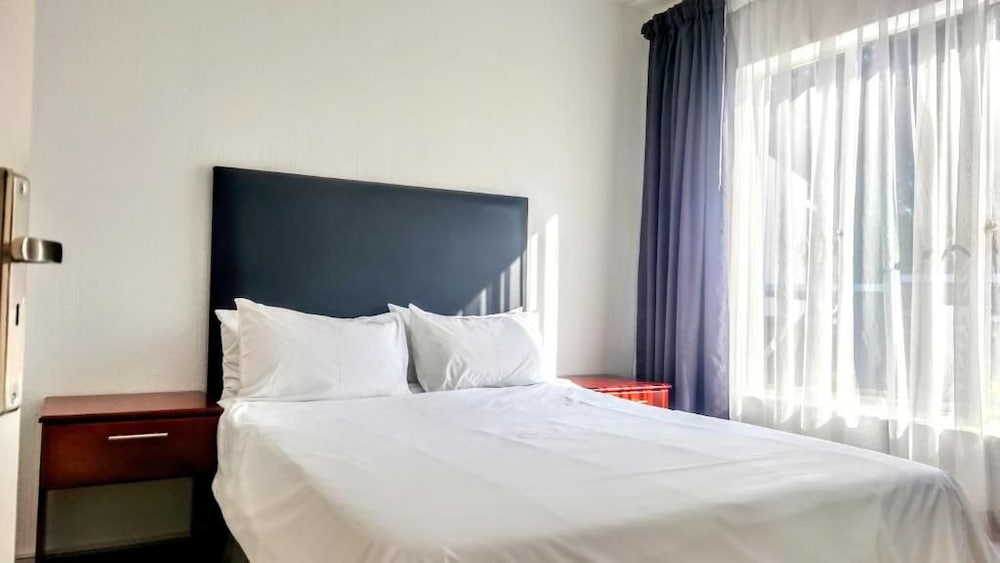 Palmar Hotel 12/50