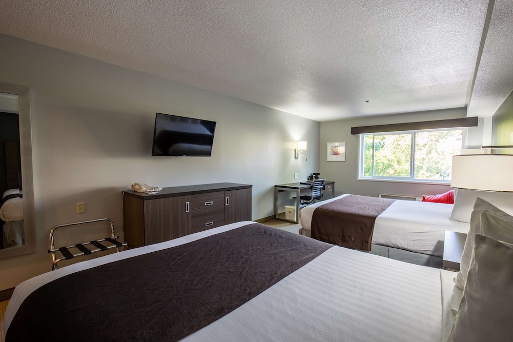 Extended Stay America Premier Suites - Portland - North 13/50
