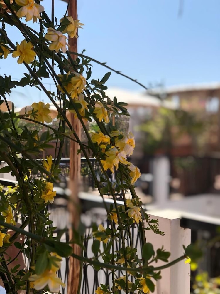 Bliss Riad Marrakech 44/50