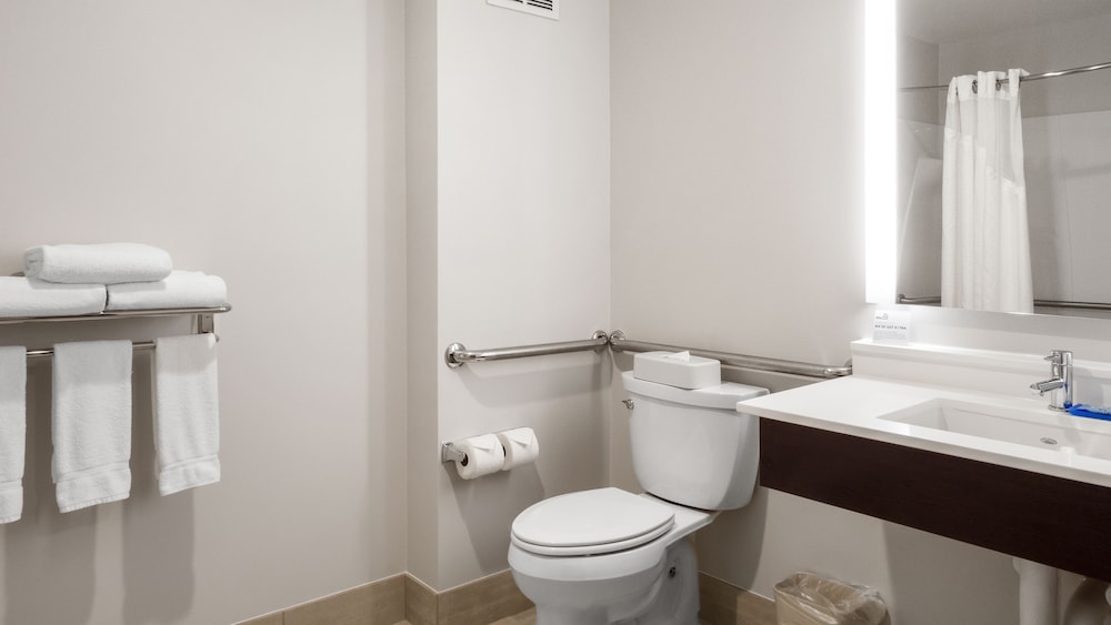 Holiday Inn Express Hotel & Suites Newton Sparta 12/44