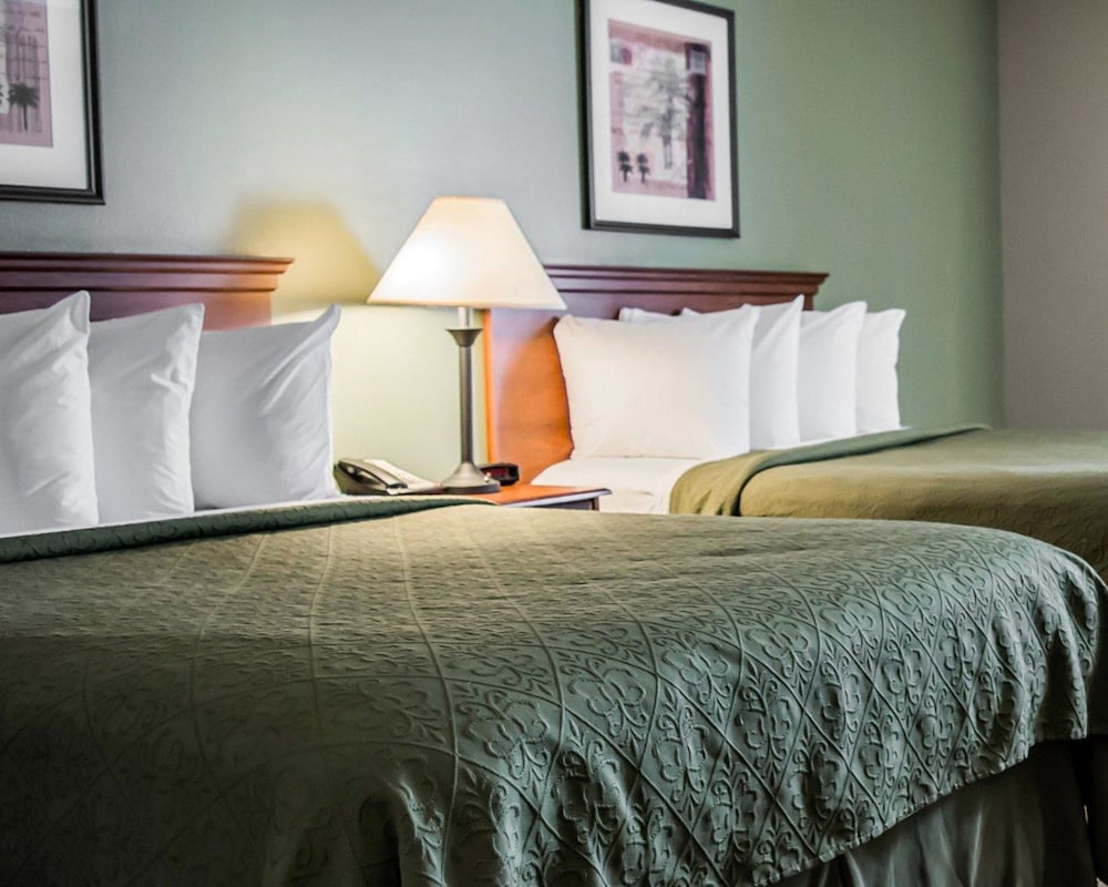 宜博市露天市场附近品质旅馆及套房酒店(Quality Inn & Suites Tampa near Fairgrounds and Casino) 图片4