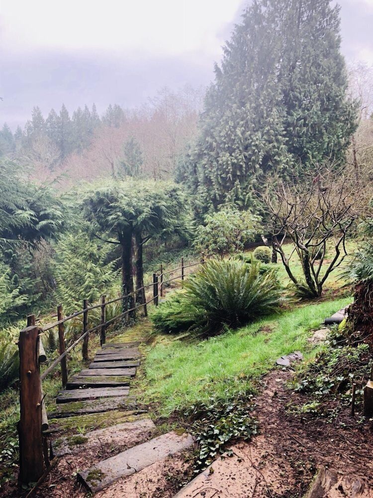 MapleRidge House: A BnB For All Seasons 35/50