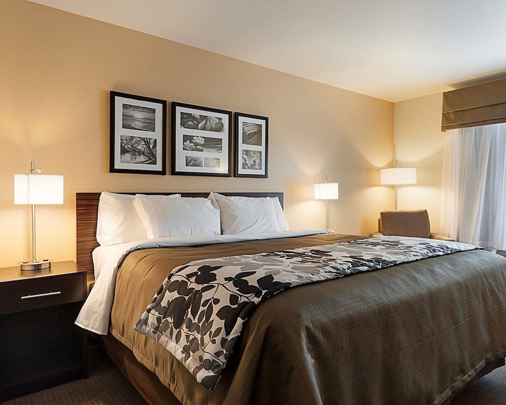 Sleep Inn & Suites Carlsbad Caverns Area 10/46