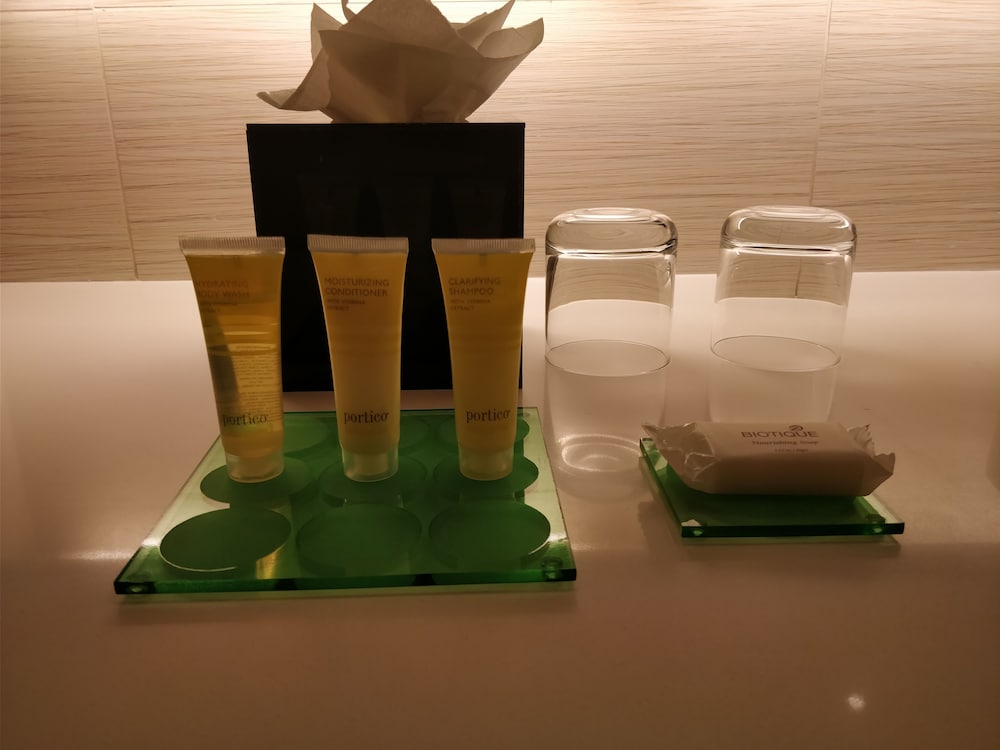 Hyatt Place Hyderabad Banjara Hills 18/54