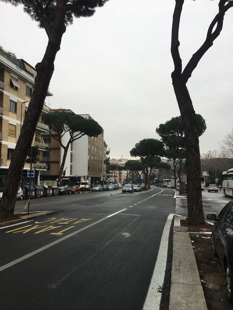 Domum Vaticani 21/50
