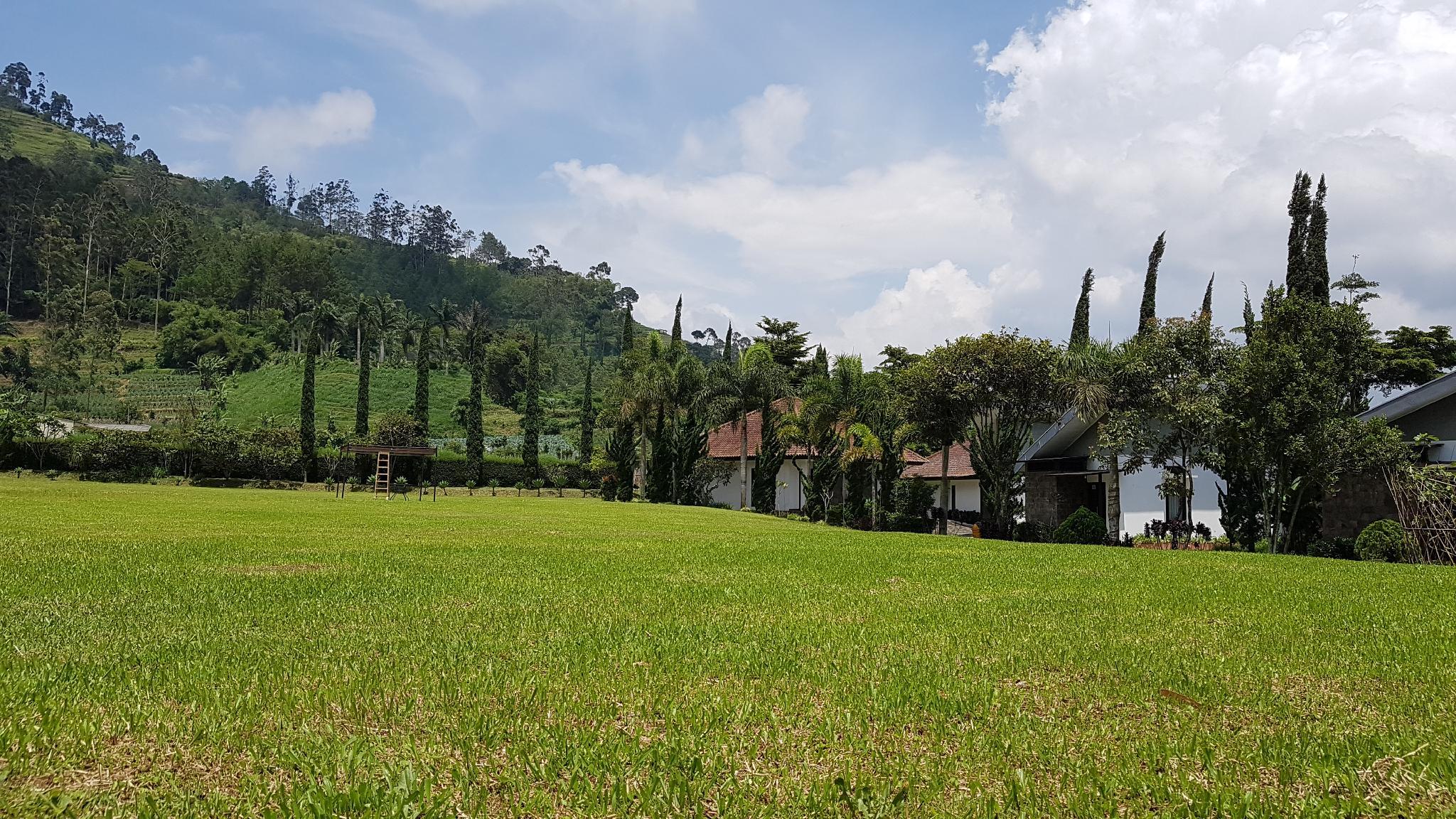 New Mountain Springs Hotel & Resort 13/17