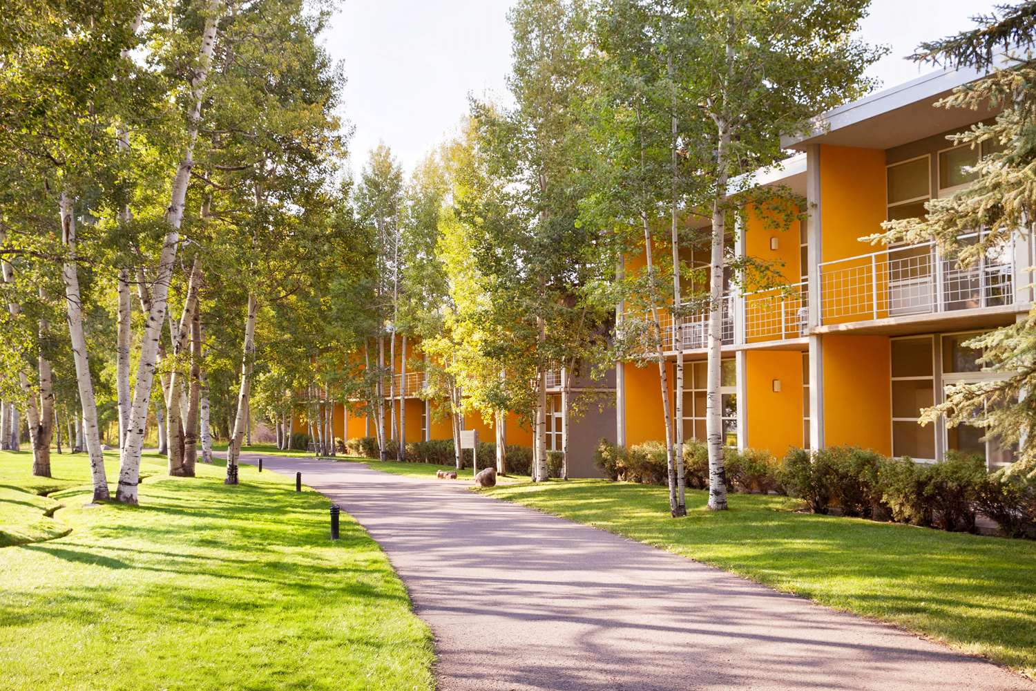 Aspen Meadows Resort 66/68